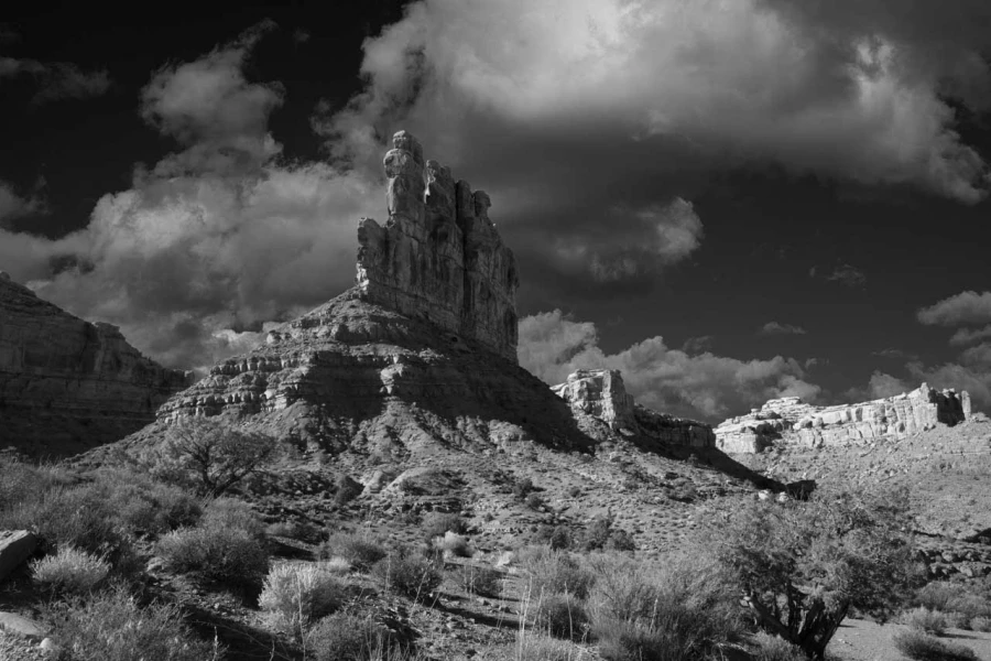 Paysage de Valley of the Gods dans l'Utah en noir et blanc.