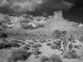 Paysage de Valley of the Gods dans l'Utah en noir et blanc.