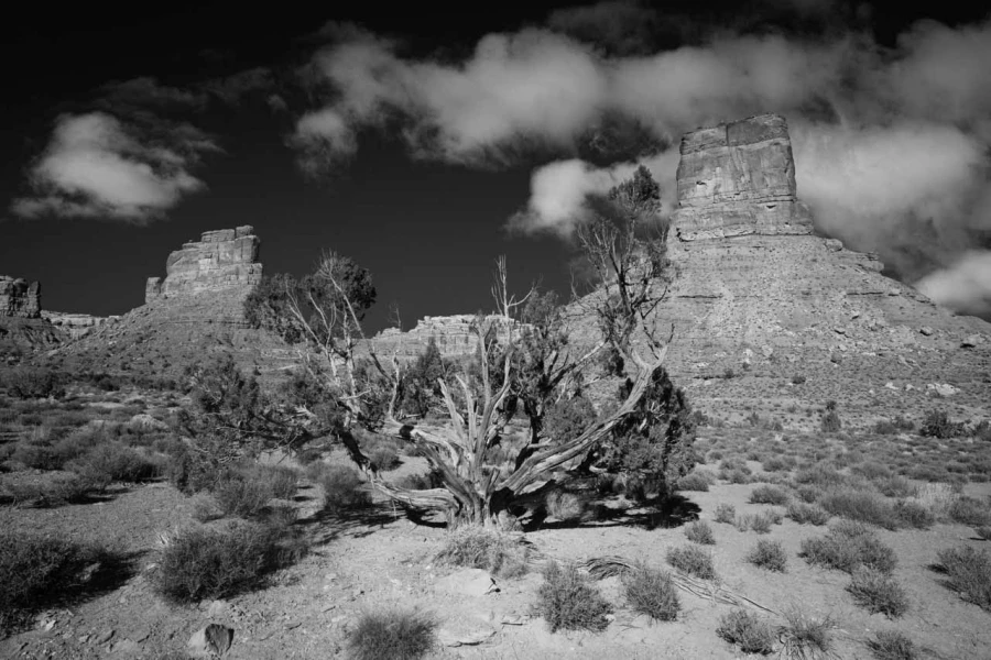 Paysage de Valley of the Gods dans l'Utah en noir et blanc.