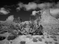 Landscape of Valley of the Gods in Utah in black and white.