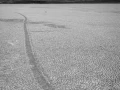 Les pierres qui bougent de Race Track Playa dans la Vallée de la Mort.