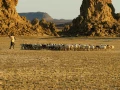 Paysage de Lac Abbé à Djibouti.