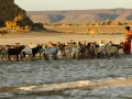 Paysage de Lac Abbé à Djibouti.