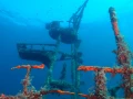15 underwater bottoms mer de cortez amar guillen photographer