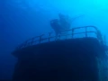 16 fonds marin mer de cortez amar guillen photographe