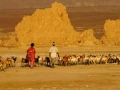 Paysage de Lac Abbé à Djibouti.