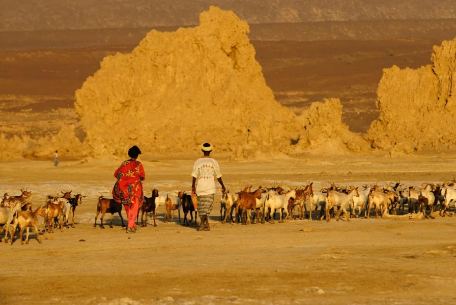 Paysage de Lac Abbé à Djibouti.