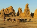Landscape of Lac Abbé in Djibouti.
