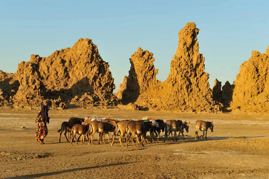 Paysage de Lac Abbé à Djibouti.