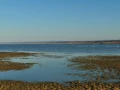 Paysage de Lac Abbé à Djibouti.
