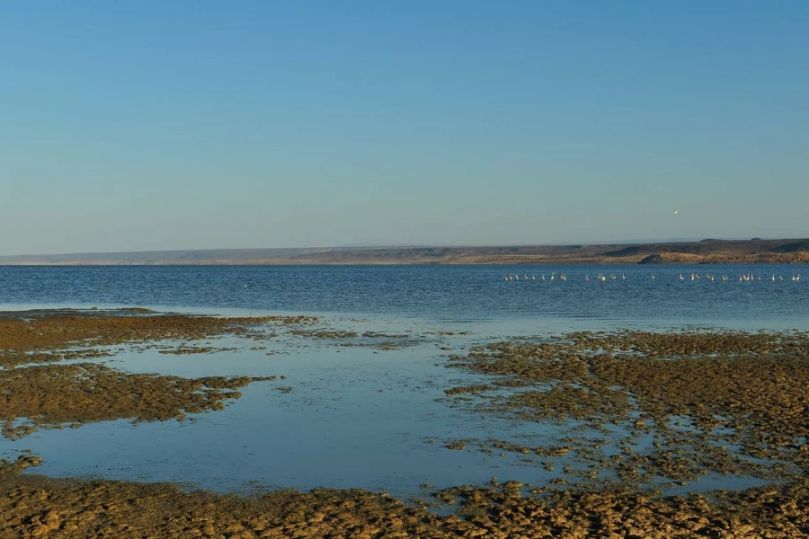Paysage de Lac Abbé à Djibouti.