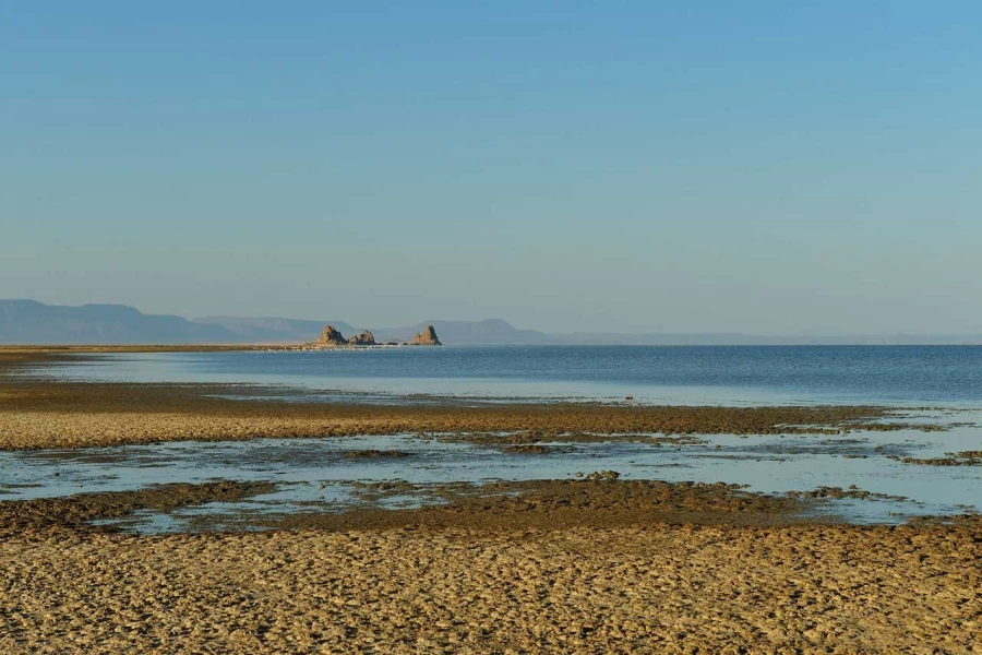Paysage de Lac Abbé à Djibouti.