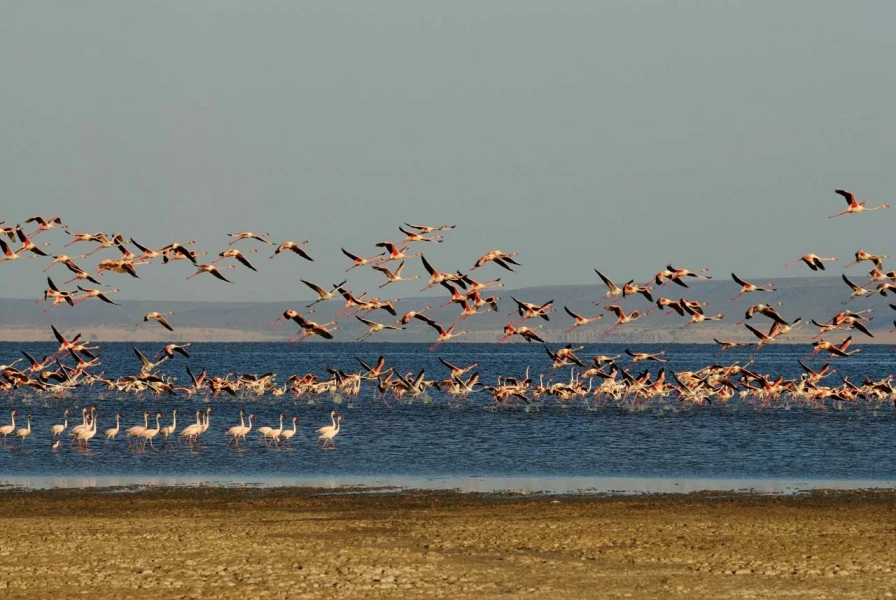 Paysage de Lac Abbé à Djibouti.