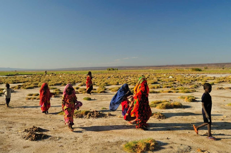 Paysage de Lac Abbé à Djibouti.
