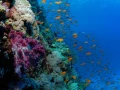 01 drop off safaga red sea egypt amar guillen photographer