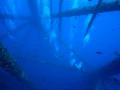 Plonger sur une plateforme pétrolière dans le Golfe du Mexique au Texas