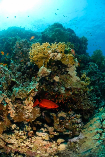 02 drop off safaga red sea egypt amar guillen photographer