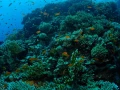03 drop off safaga red sea egypt amar guillen photographer