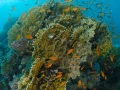 05 drop off safaga red sea egypt amar guillen photographer