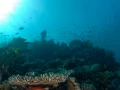 06 drop off safaga red sea egypt amar guillen photographer