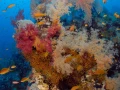 07 drop off safaga red sea egypt amar guillen photographer