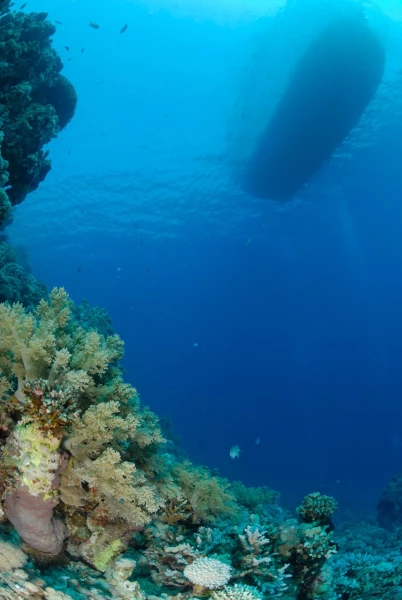 08 drop off safaga red sea egypt amar guillen photographer