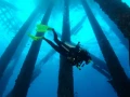 Plonger sur une plateforme pétrolière dans le Golfe du Mexique au Texas