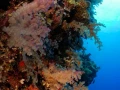 12 drop off safaga red sea egypt amar guillen photographer