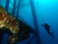 Plonger sur une plateforme pétrolière dans le Golfe du Mexique au Texas