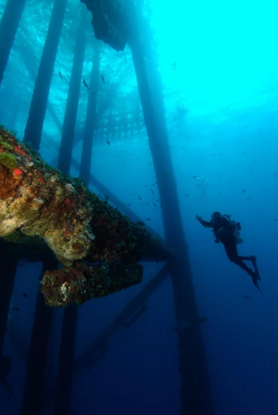 Plonger sur une plateforme pétrolière dans le Golfe du Mexique au Texas