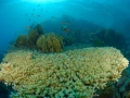 15 drop off safaga red sea egypt amar guillen photographer