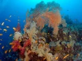 18 drop off safaga red sea egypt amar guillen photographer