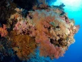 23 drop off safaga red sea egypt amar guillen photographer