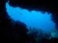 24 drop off safaga red sea egypt amar guillen photographer