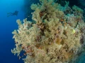 26 drop off safaga red sea egypt amar guillen photographer