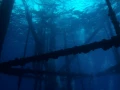 Plonger sur une plateforme pétrolière dans le Golfe du Mexique au Texas