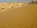 Paysage de Al Qasr en Egypte.