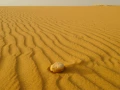 Paysage de Al Qasr en Egypte.