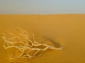 Landscape of Al Qasr in Egypt.