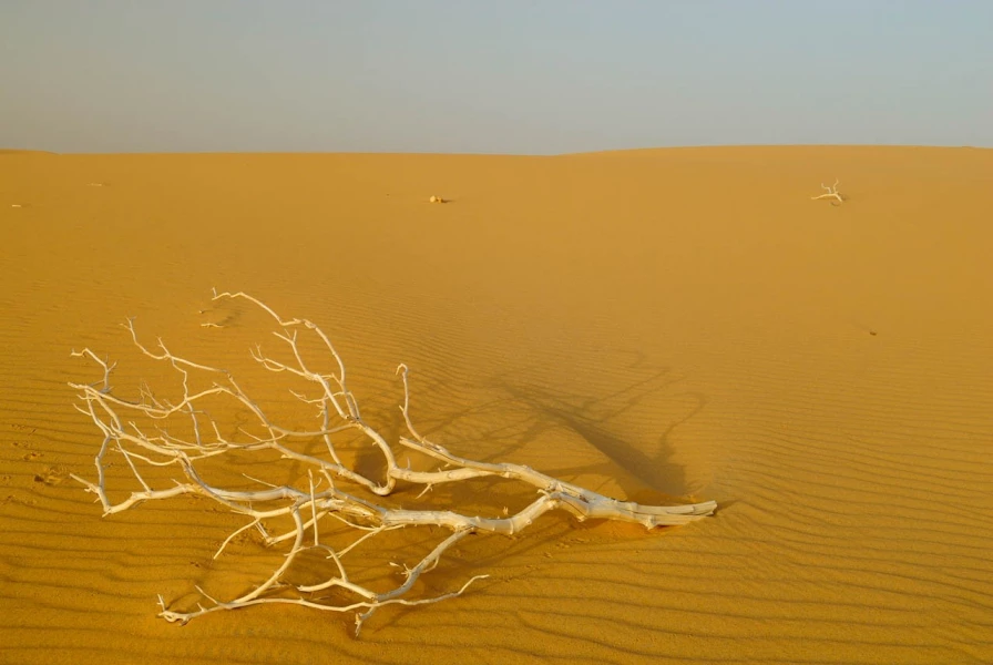 Landscape of Al Qasr in Egypt.