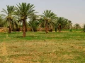 Paysage de Al Qasr en Egypte.