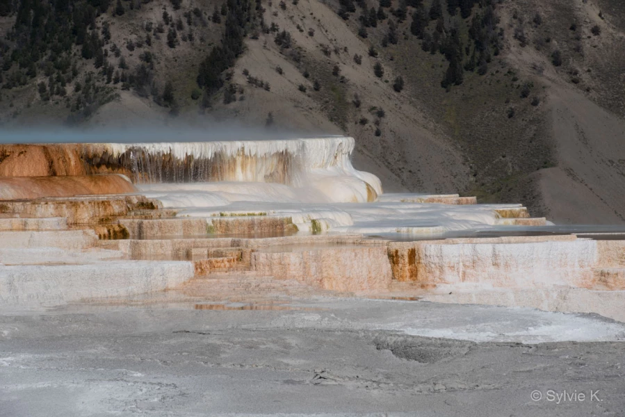 006 sylvie stage yellowstone aout 2019