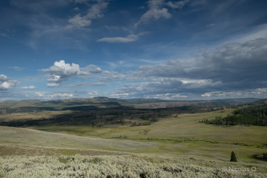 018 nicolas stage yellowstone aout 2019