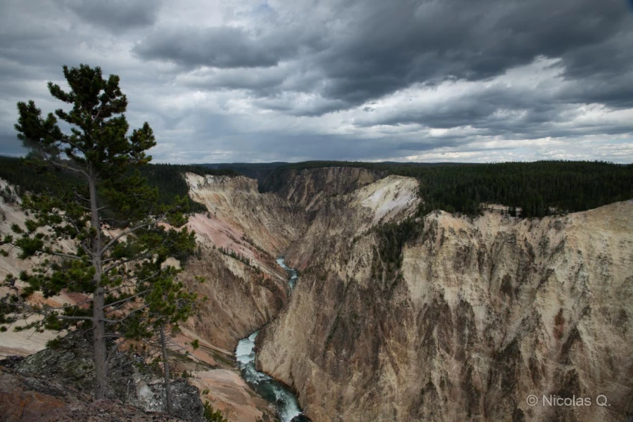 021 nicolas stage yellowstone aout 2019
