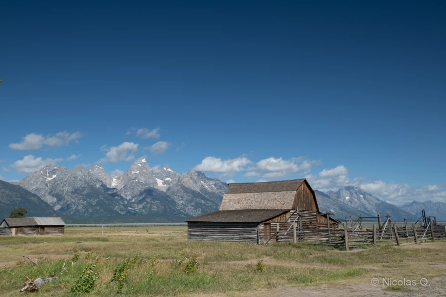 024 nicolas stage yellowstone aout 2019