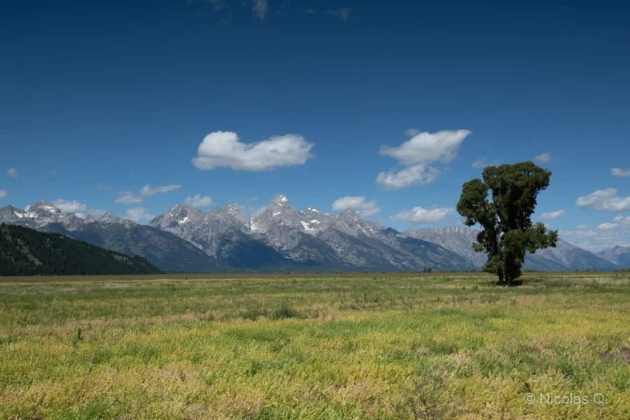 026 nicolas stage yellowstone aout 2019