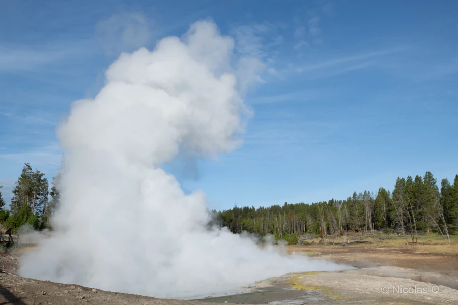 029 nicolas stage yellowstone aout 2019