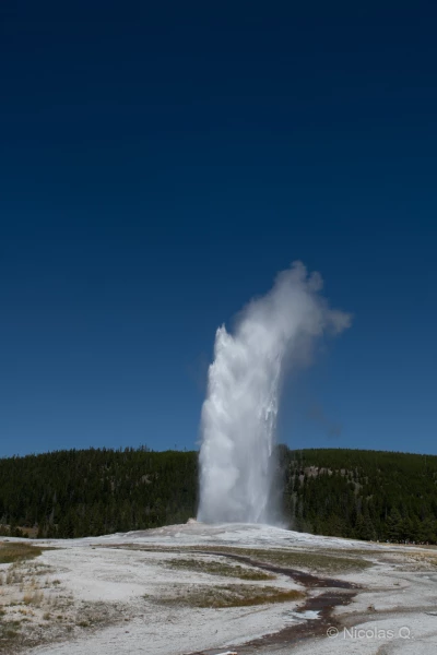 031 nicolas stage yellowstone aout 2019