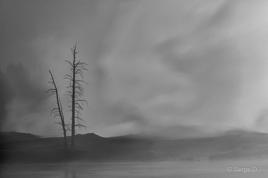 053 serge stage yellowstone aout 2019