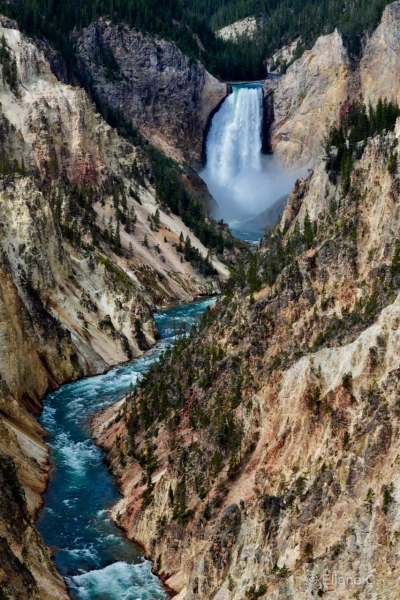068 eliane stage yellowstone aout 2019